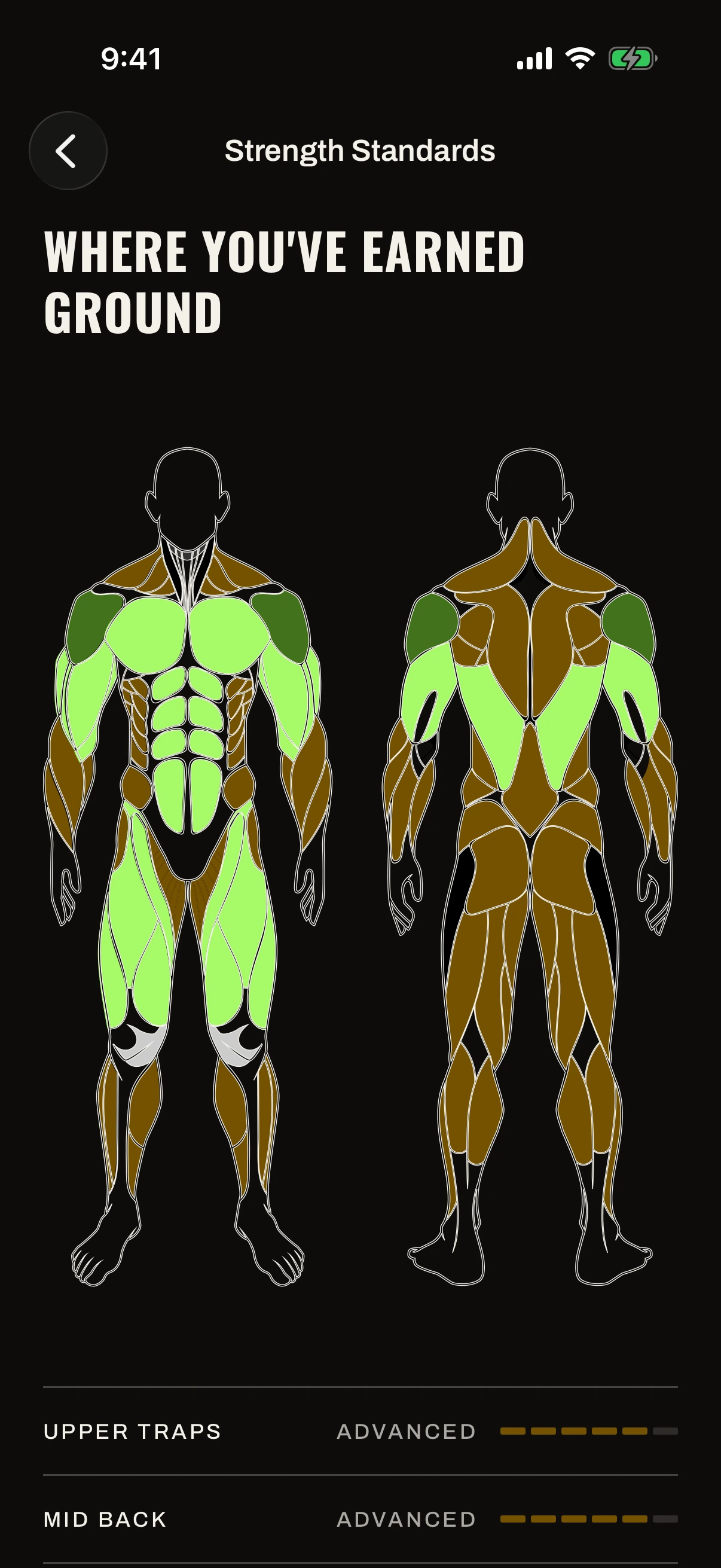 The Strength Standards screen in the Gymbers app: a front and back body figure with each muscle group coloured by strength level, worked out from logged lifts.