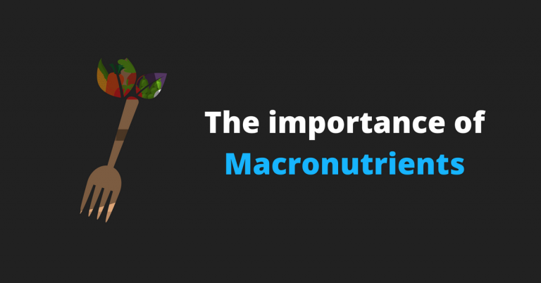 Macronutrients – The Foundation Of Your Success